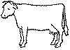 Farm Animals to Color